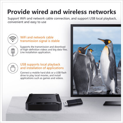 X96Q Android TV Box H313 Smart TV BOX 2.4G WIFI 4K Android 10 TV Box - AMGUR